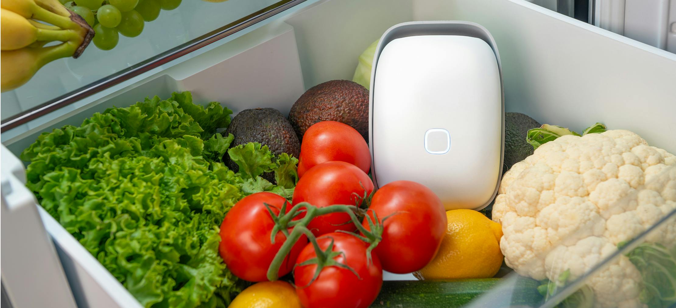 Shelfy, l'alleato contro lo spreco alimentare