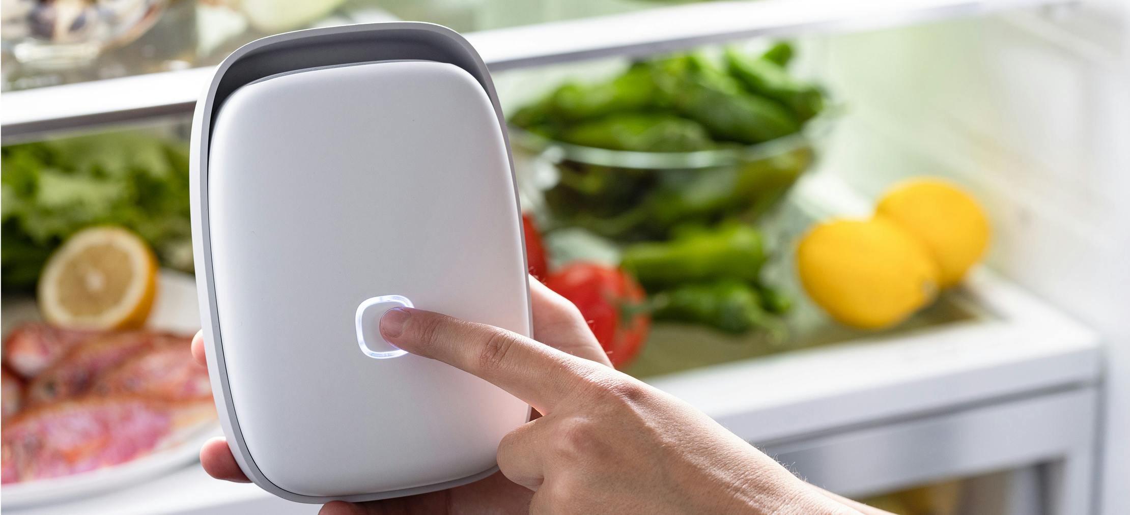 How Shelfy helps extend food freshness