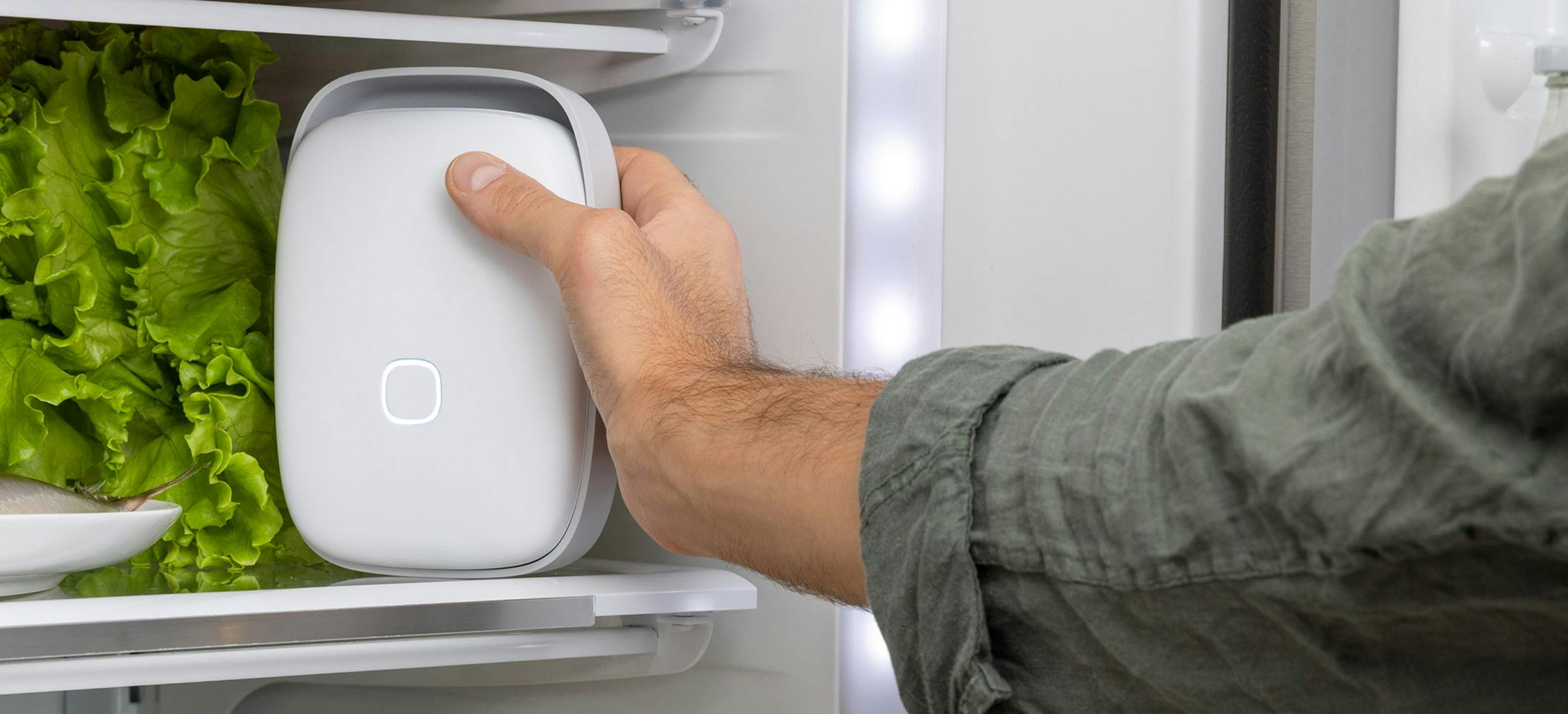 How Shelfy supports longer food freshness and hygiene