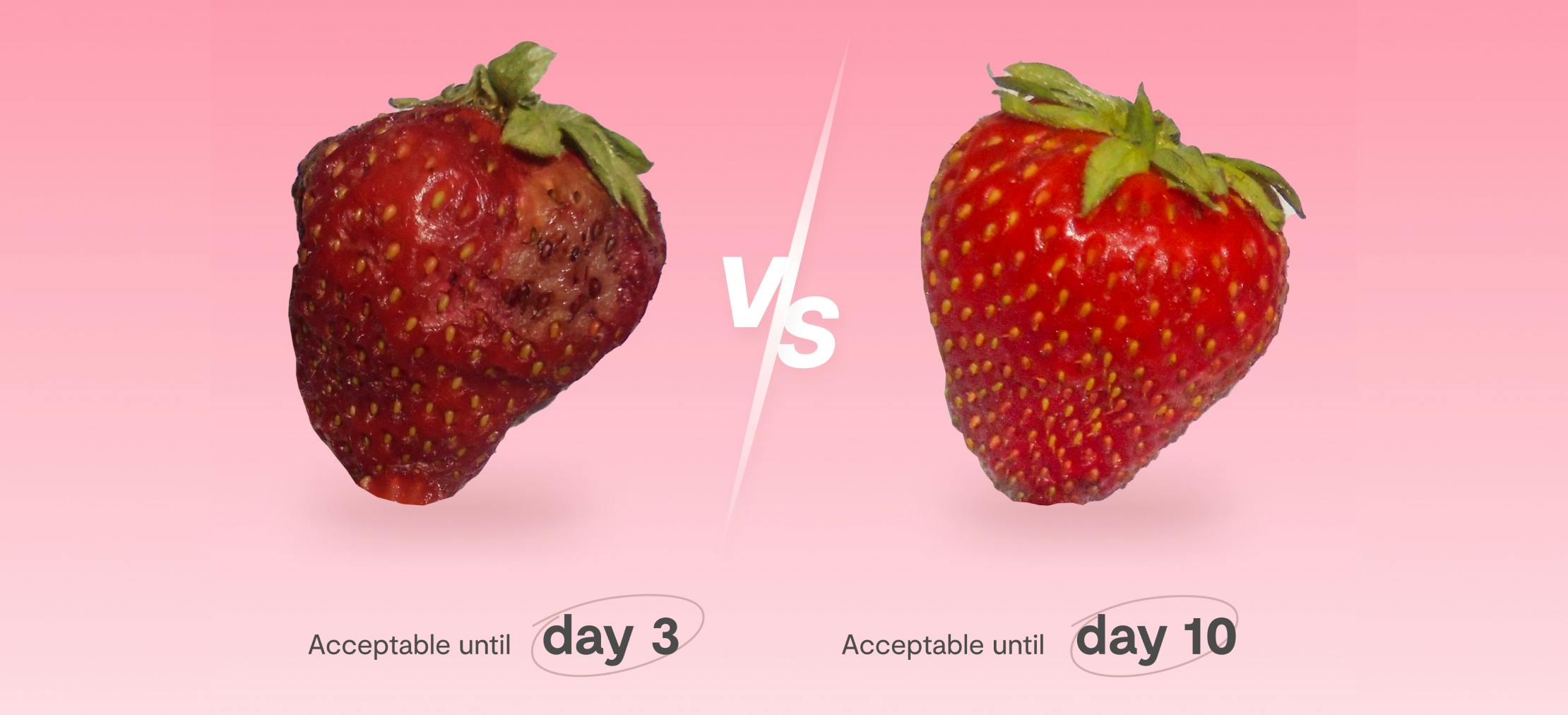 How Shelfy enhances strawberry storage