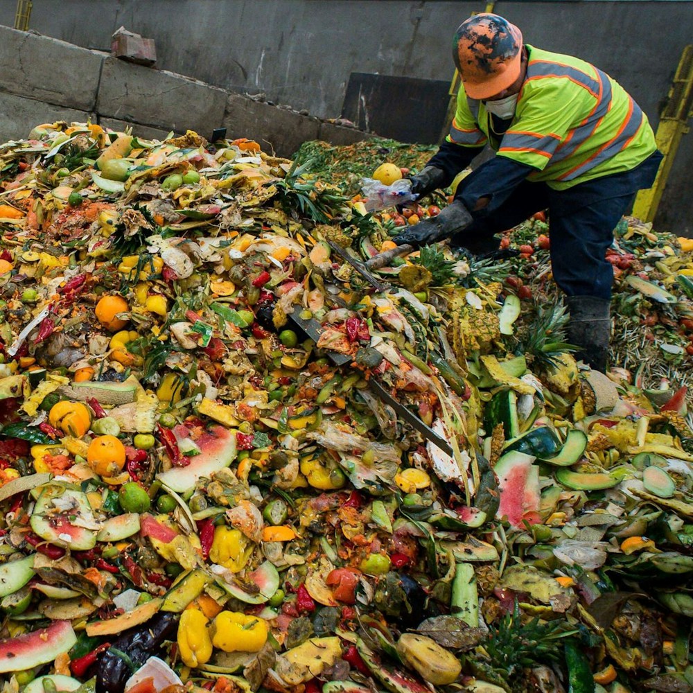 10 Practical tips to reduce food waste in everyday life