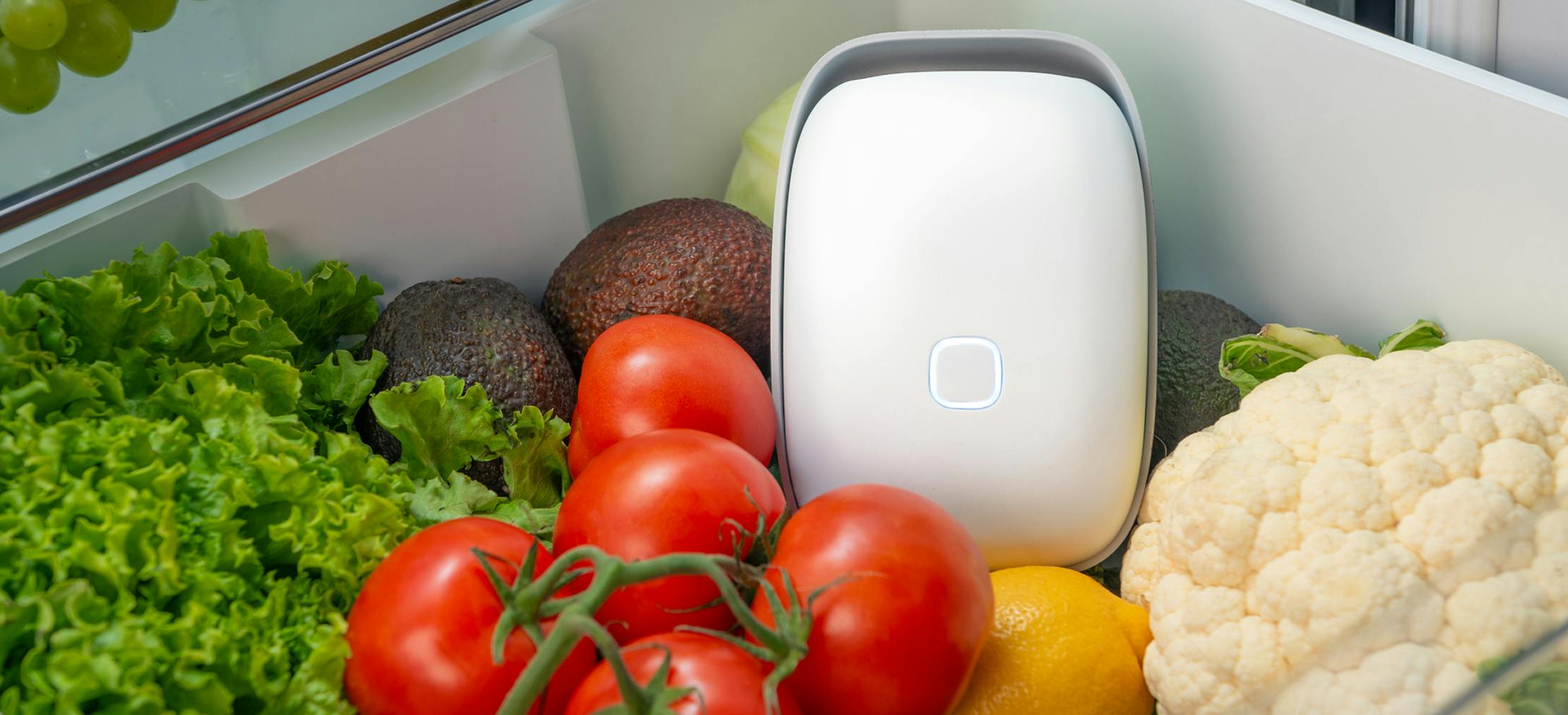 Invest in food-saving technology