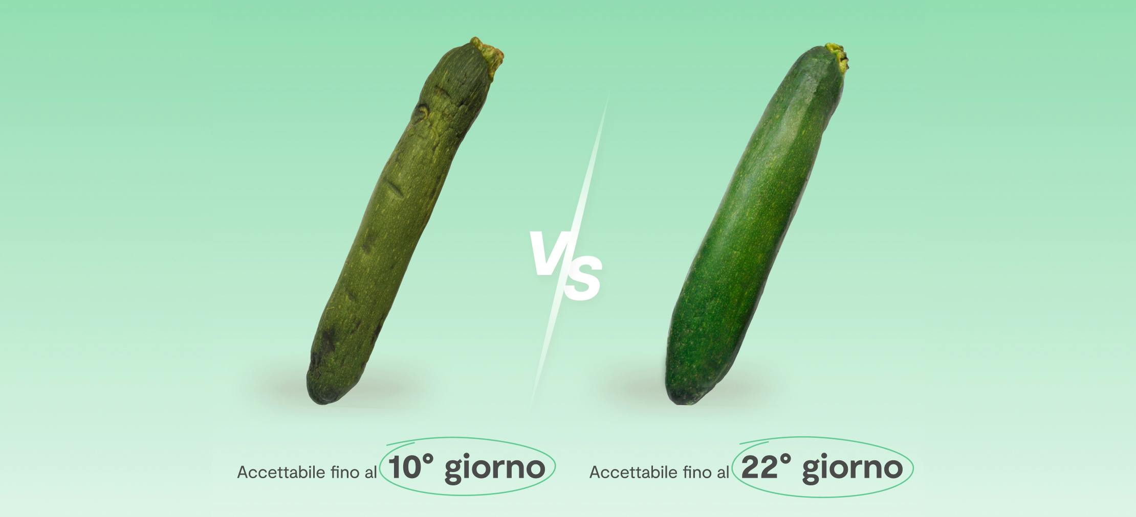 Consigli generali per mantenere fresche tutte le verdure in frigorifero
