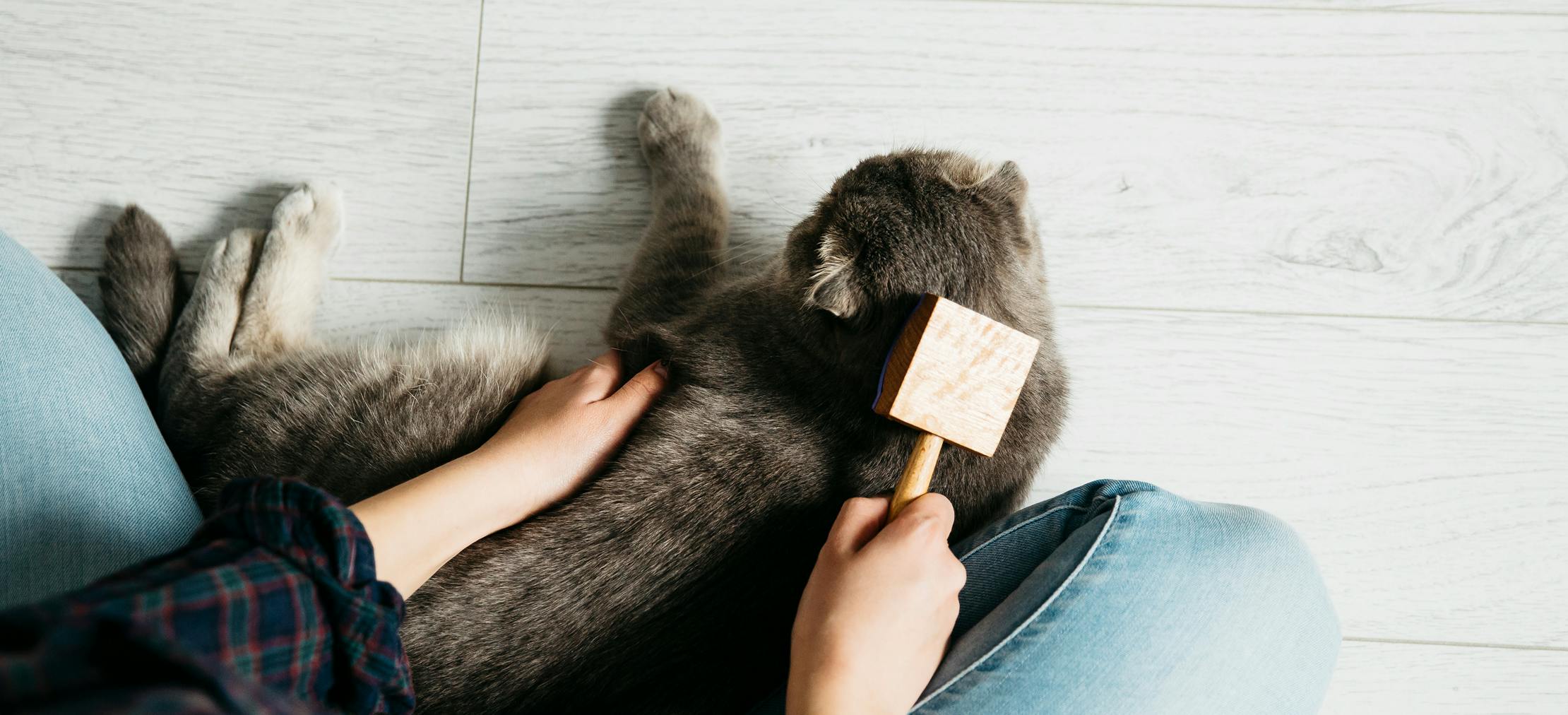 Cosa serve davvero ai proprietari di animali