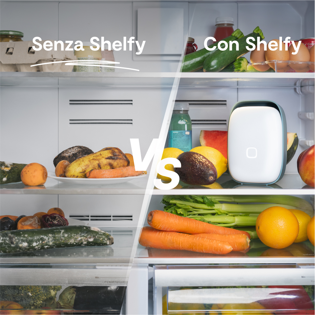 shelfy fa la differenza nel tuo frigo
