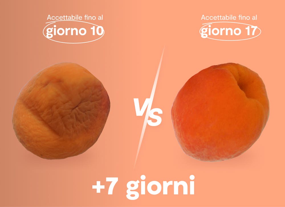 risultati shelfy sulle albicocche