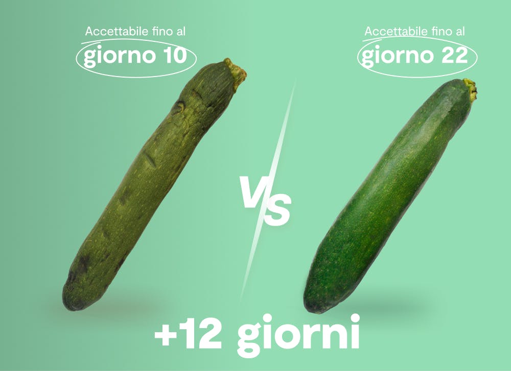 risultati shelfy sulle zucchine