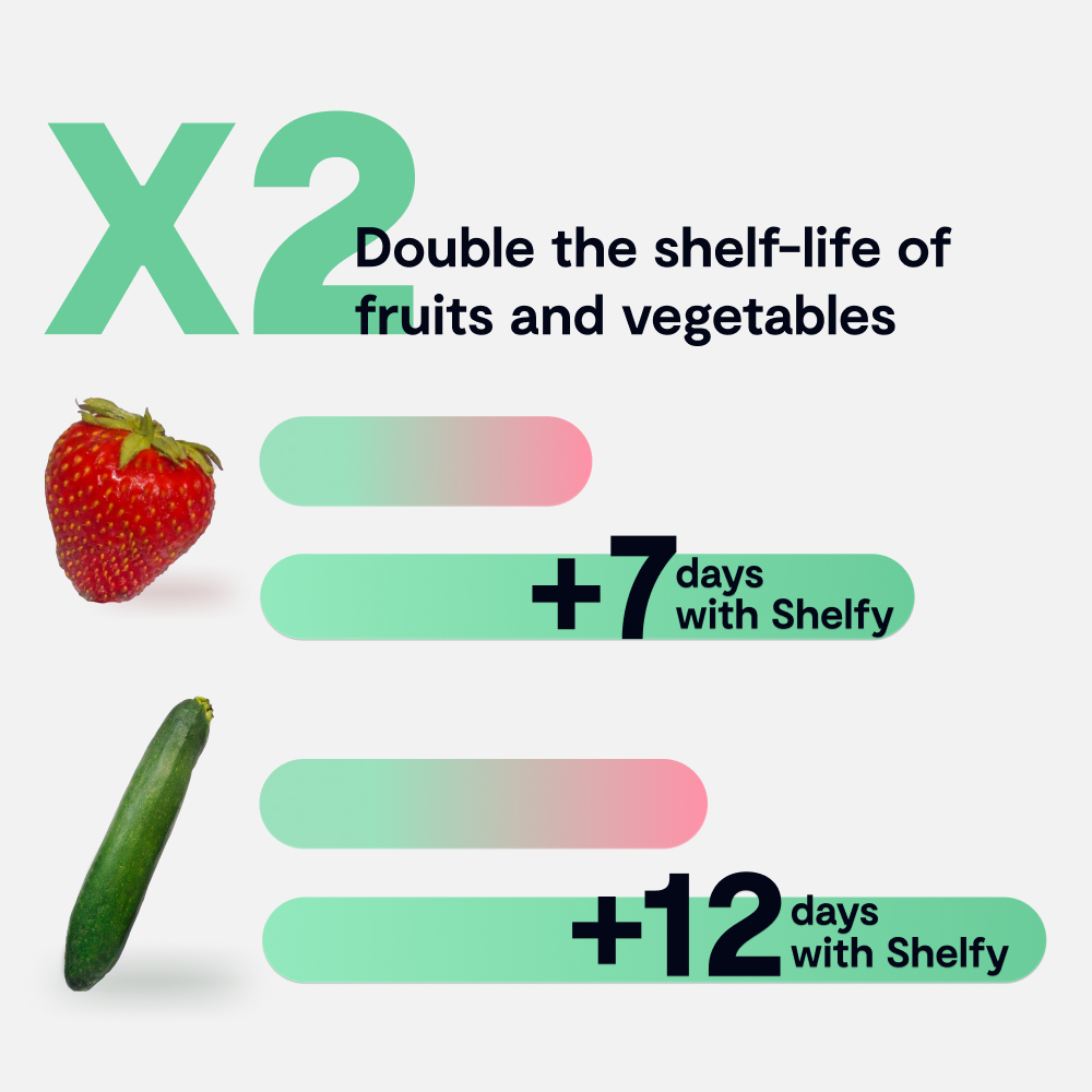 fruits and vegetables last longer with shelfy
