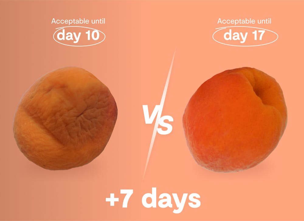 apricot last longer with shelfy