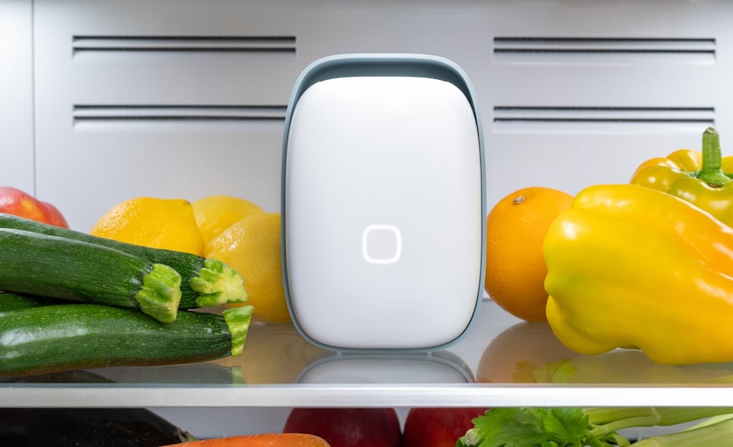 Shelfy fridge purifier