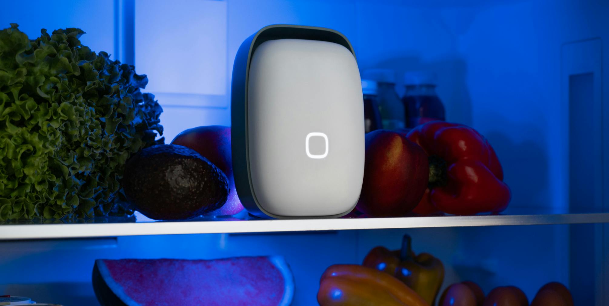 Shelfy: l'alleato perfetto per conservare la zucca più a lungo