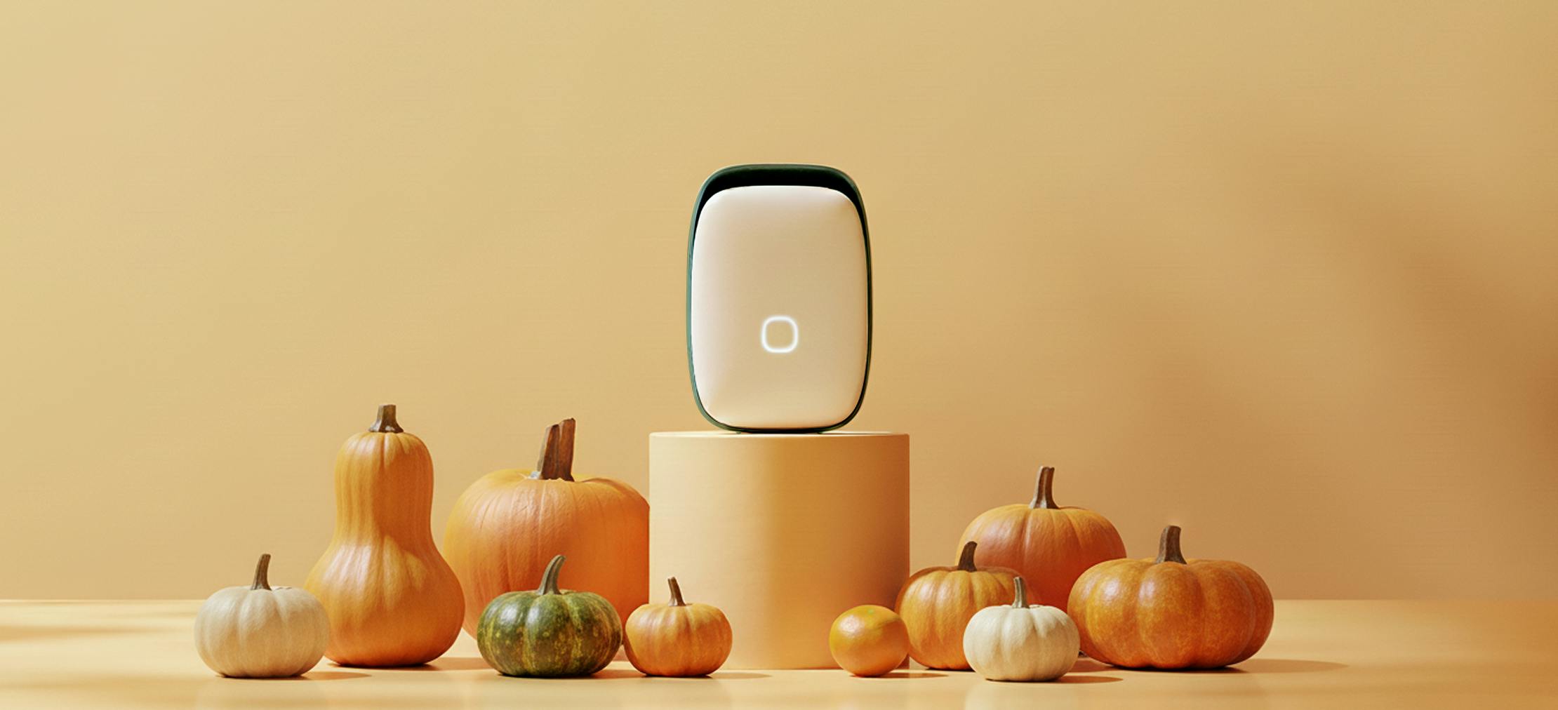 I benefici per la conservazione della zucca