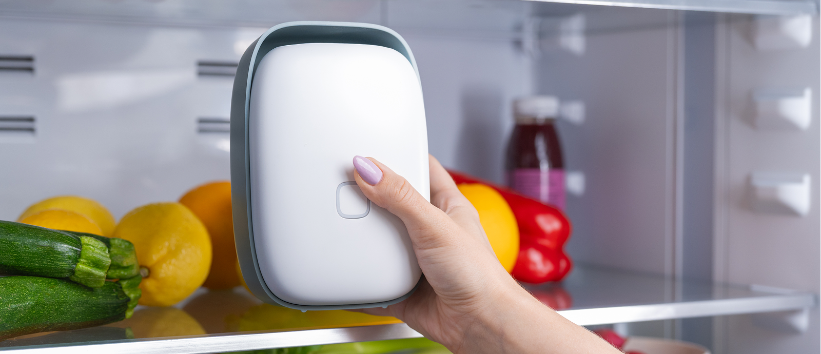 Scopri cosa dicono di Shelfy