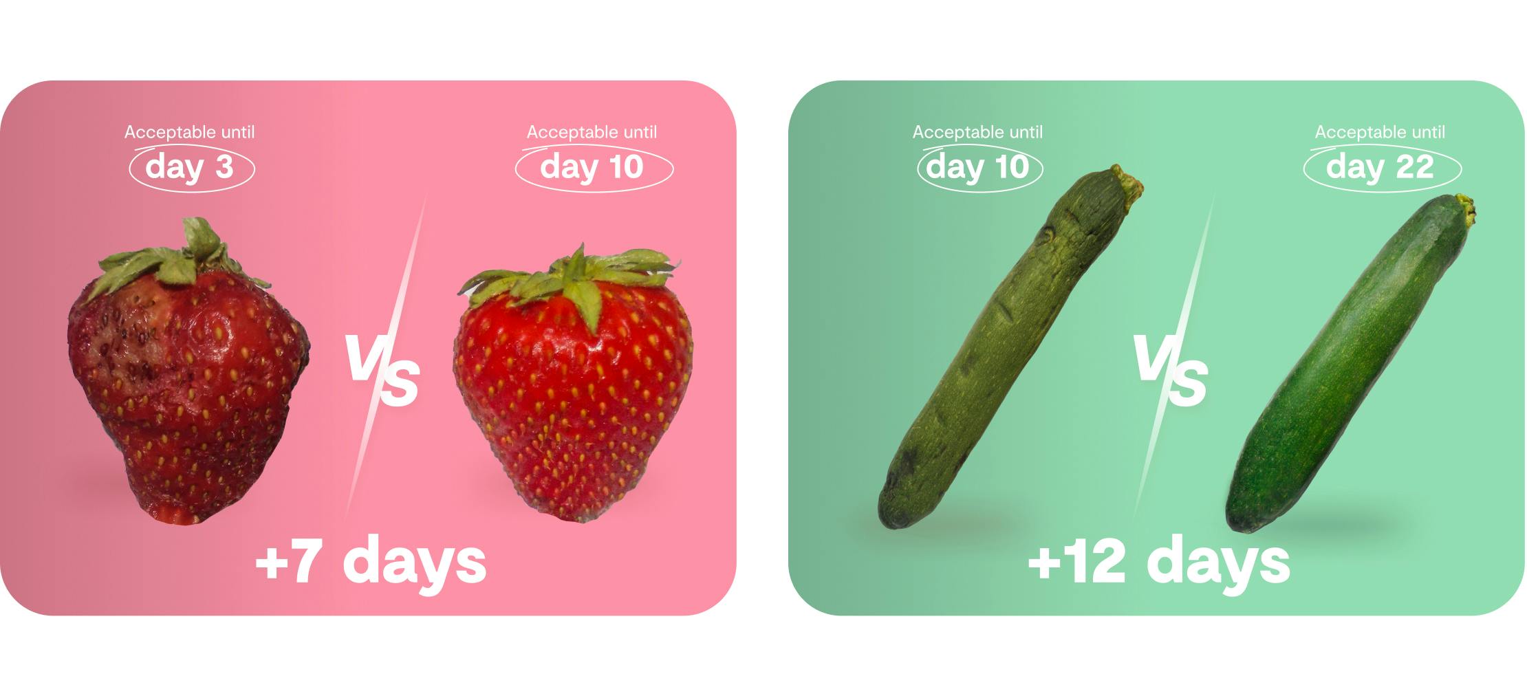 Quali benefici offre Shelfy?