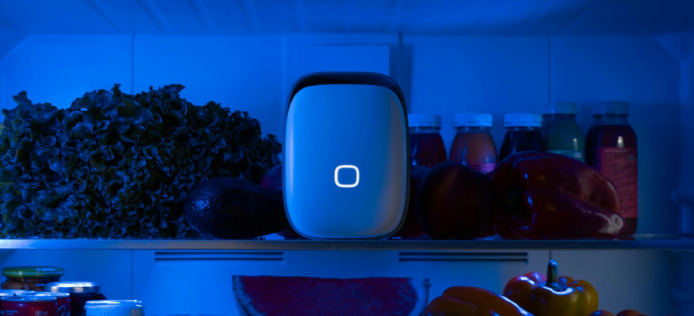 Più di un semplice gadget: un regalo sostenibile con un impatto reale