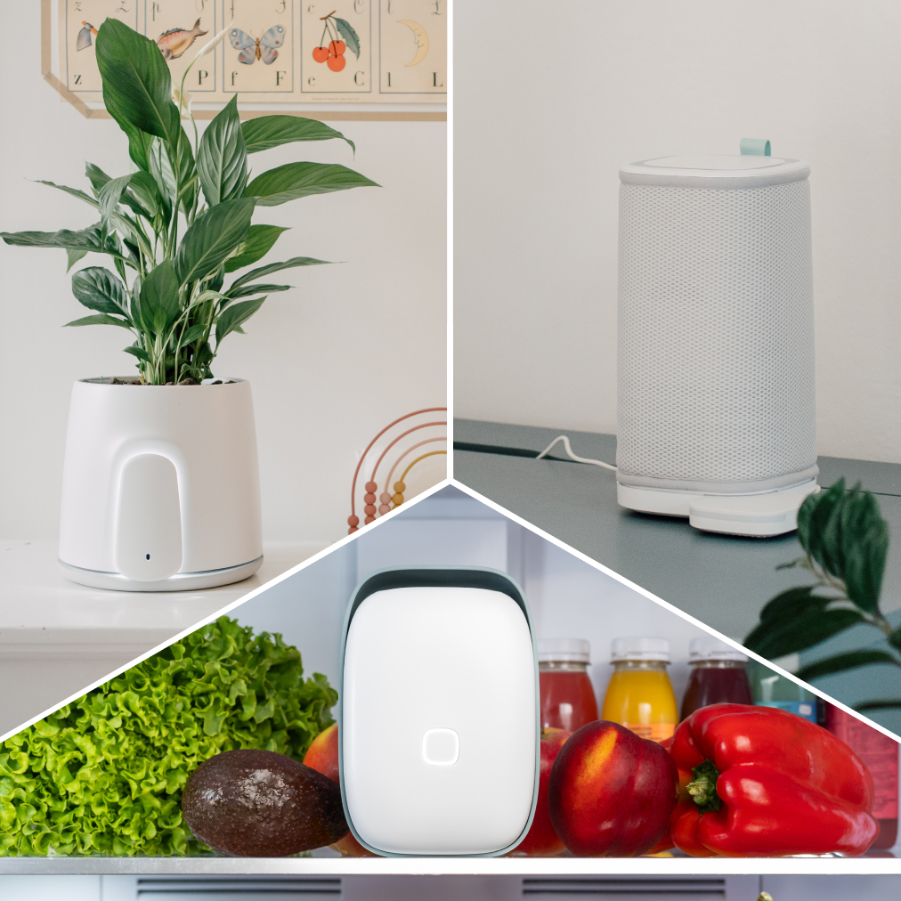 Smart Home 2026: creating an integrated Wellness Ecosystem