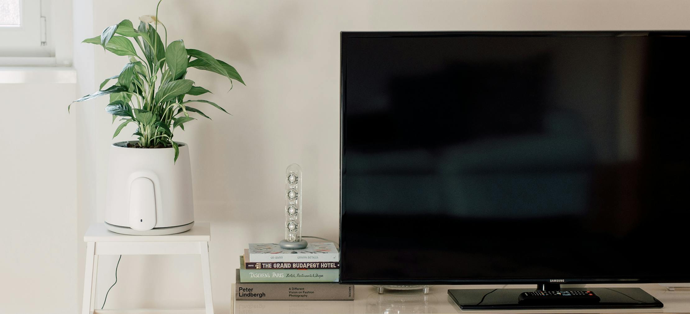 Natede Smart: enhanced natural purification 