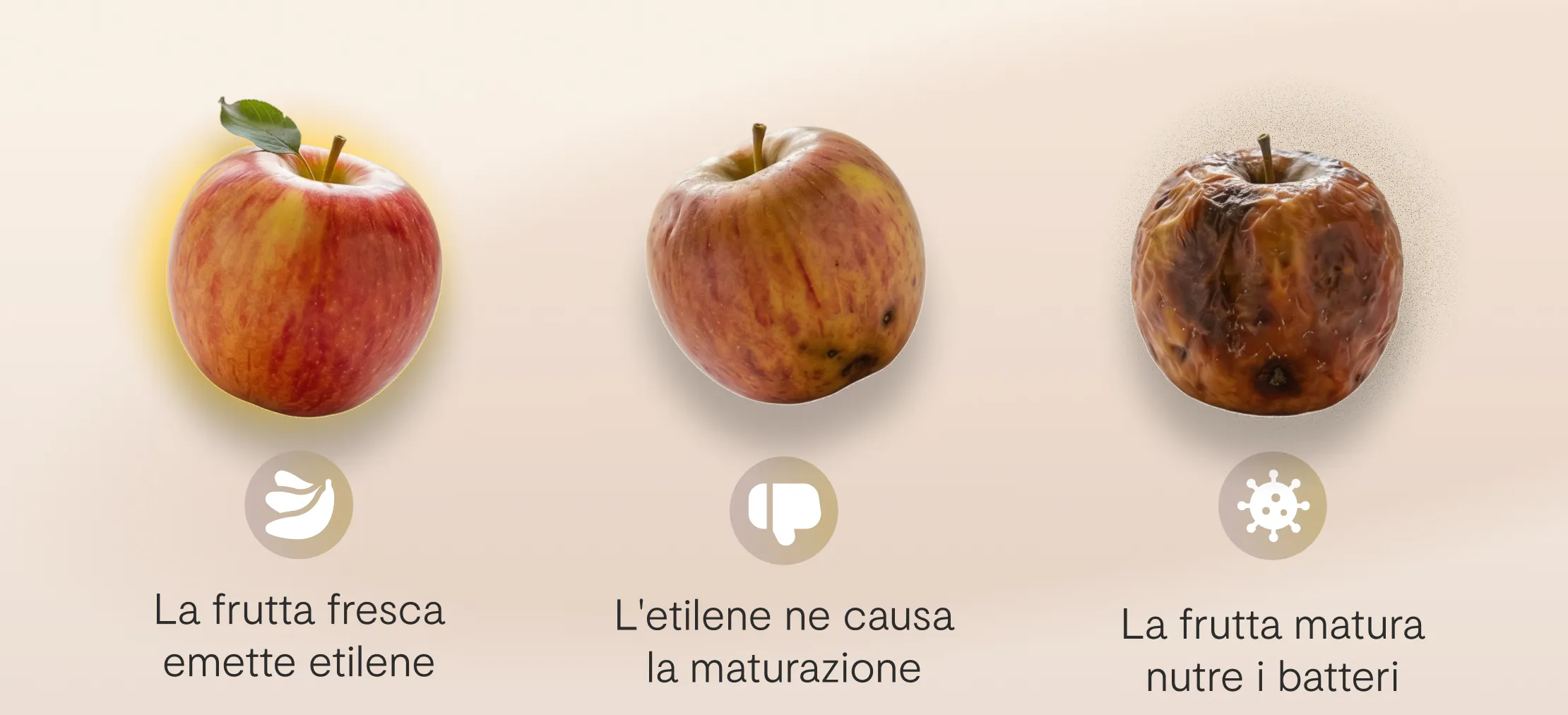 Il problema che nessuno ha mai progettato per risolvere