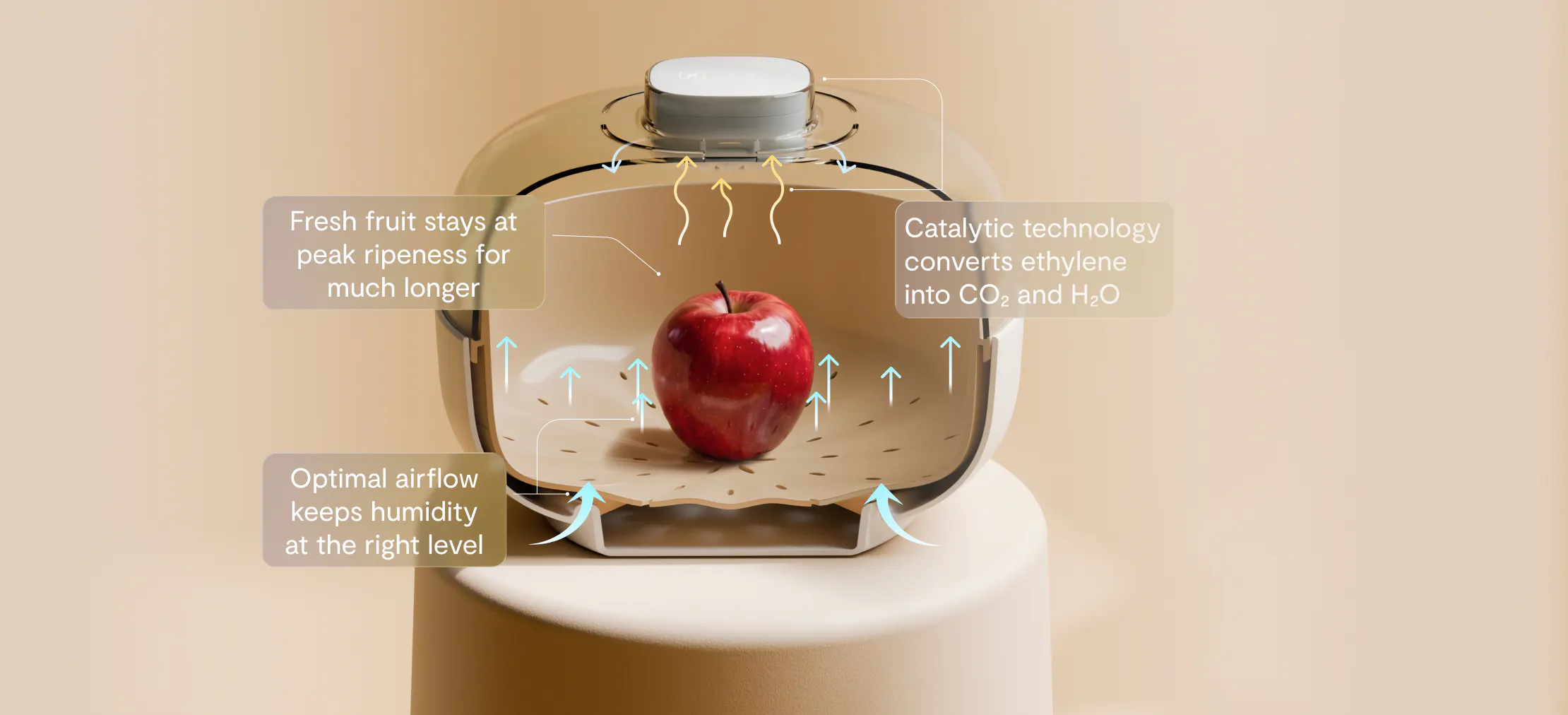 How Vitesy Fruit Bowl actually works