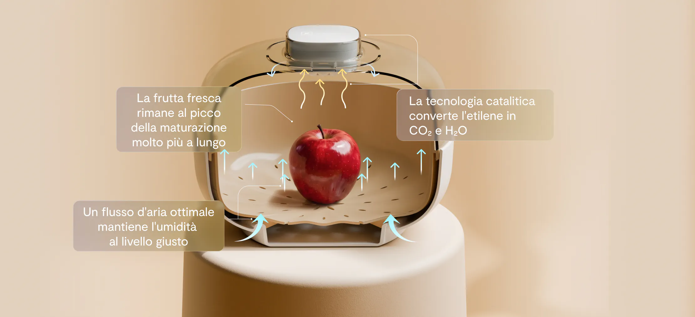 Come funziona davvero il Vitesy Fruit Bowl