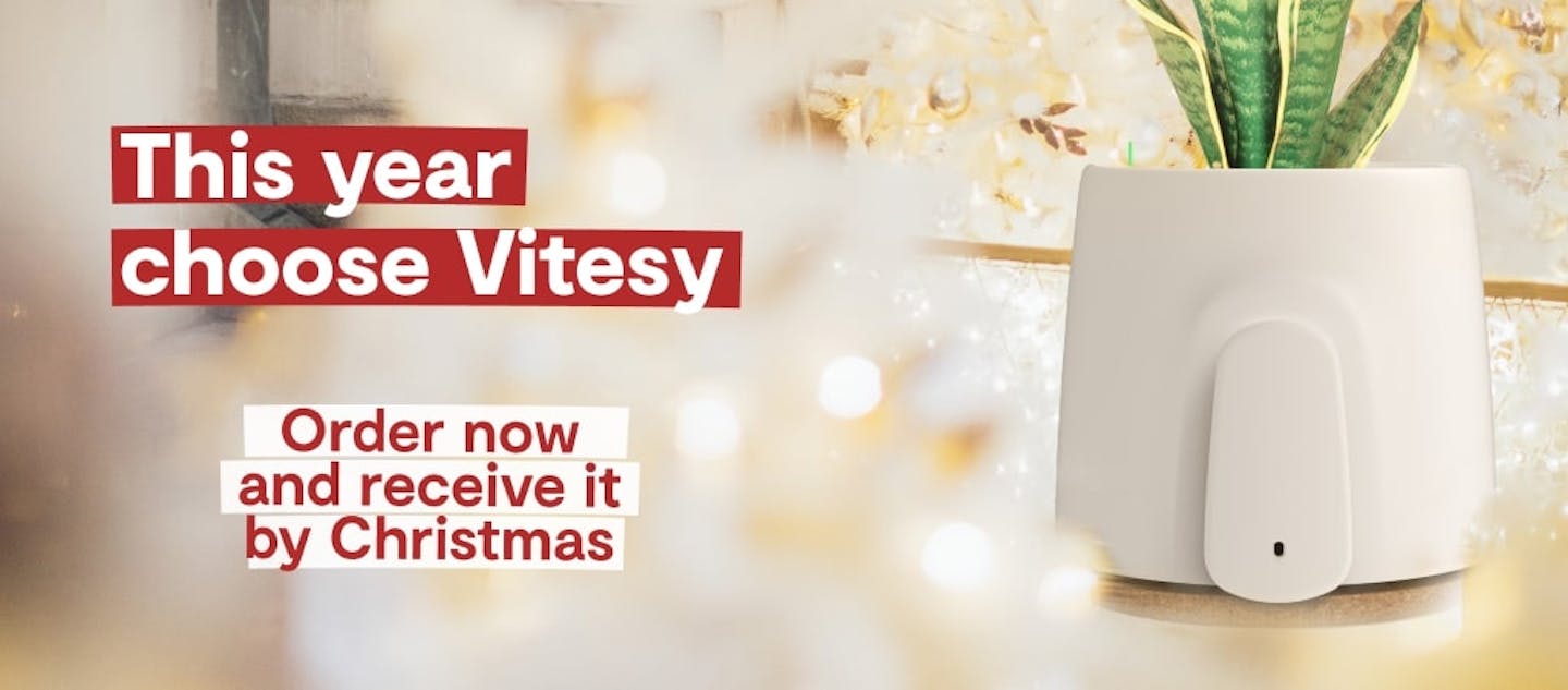 Christmas 2023 Discount