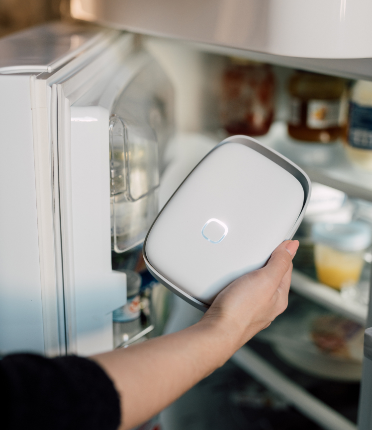 Shelfy in cucina ristorante