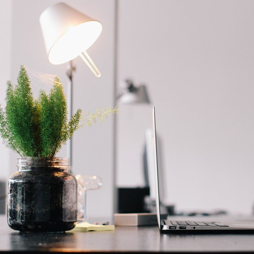 Technology and nature unite in the fight for cleaner indoor air