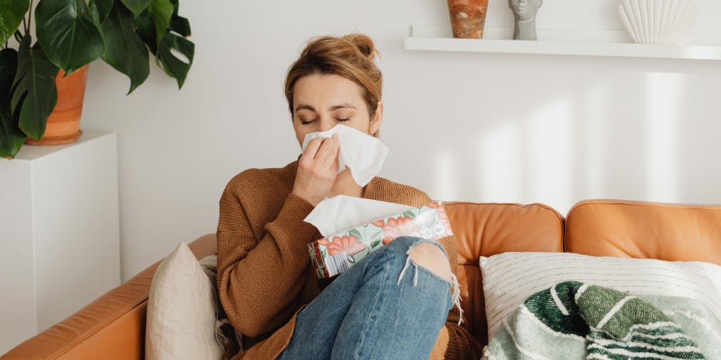 which air purifier to choose against allergies