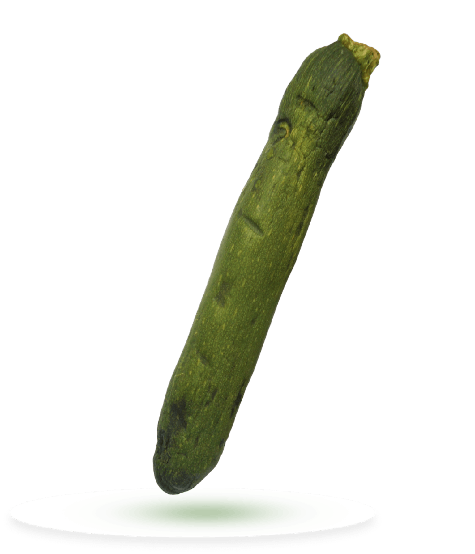 zucchina senza shelfy