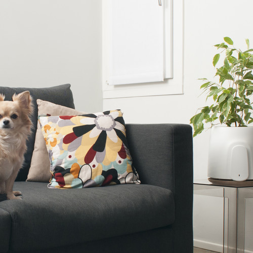 Is your plant animal friendly?