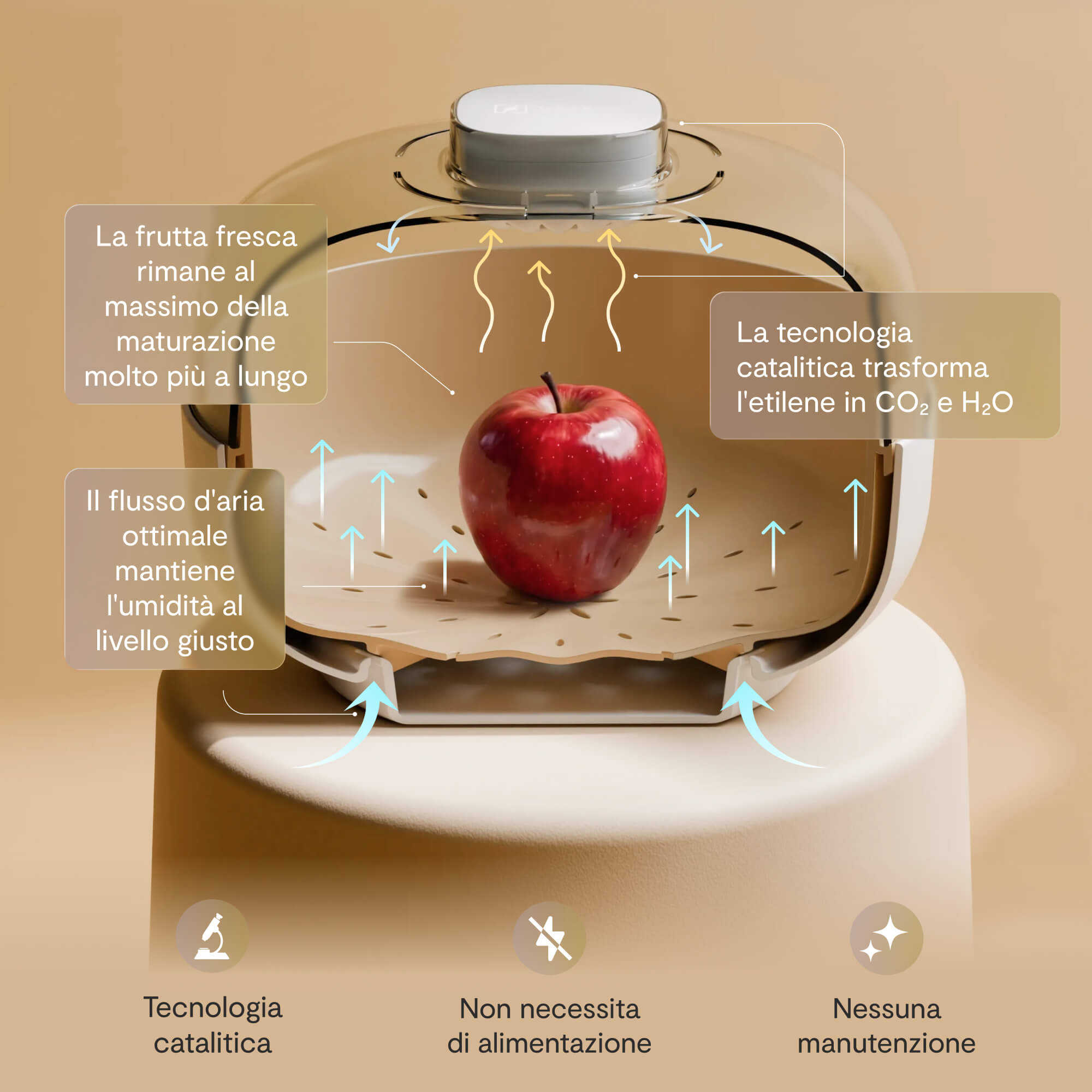 come funziona vitesy fruit bowl