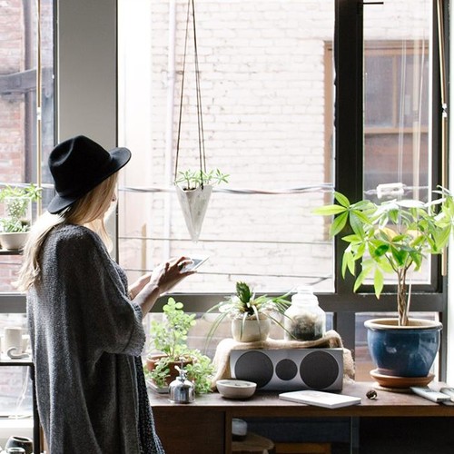 Evita questi 5 errori e le tue piante d’appartamento vivranno per sempre