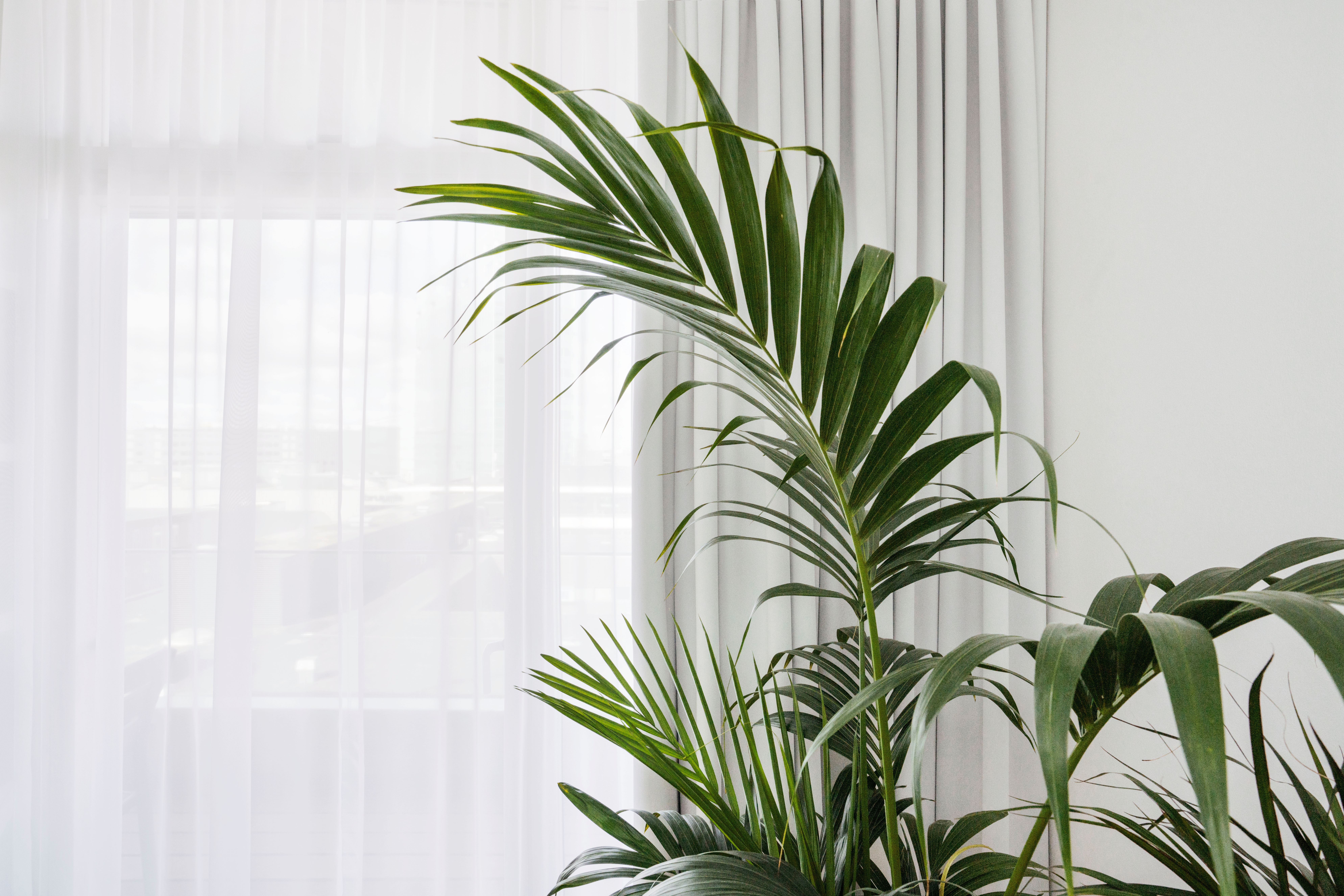 Aiuta a ridurre al minimo l'inquinamento acustico