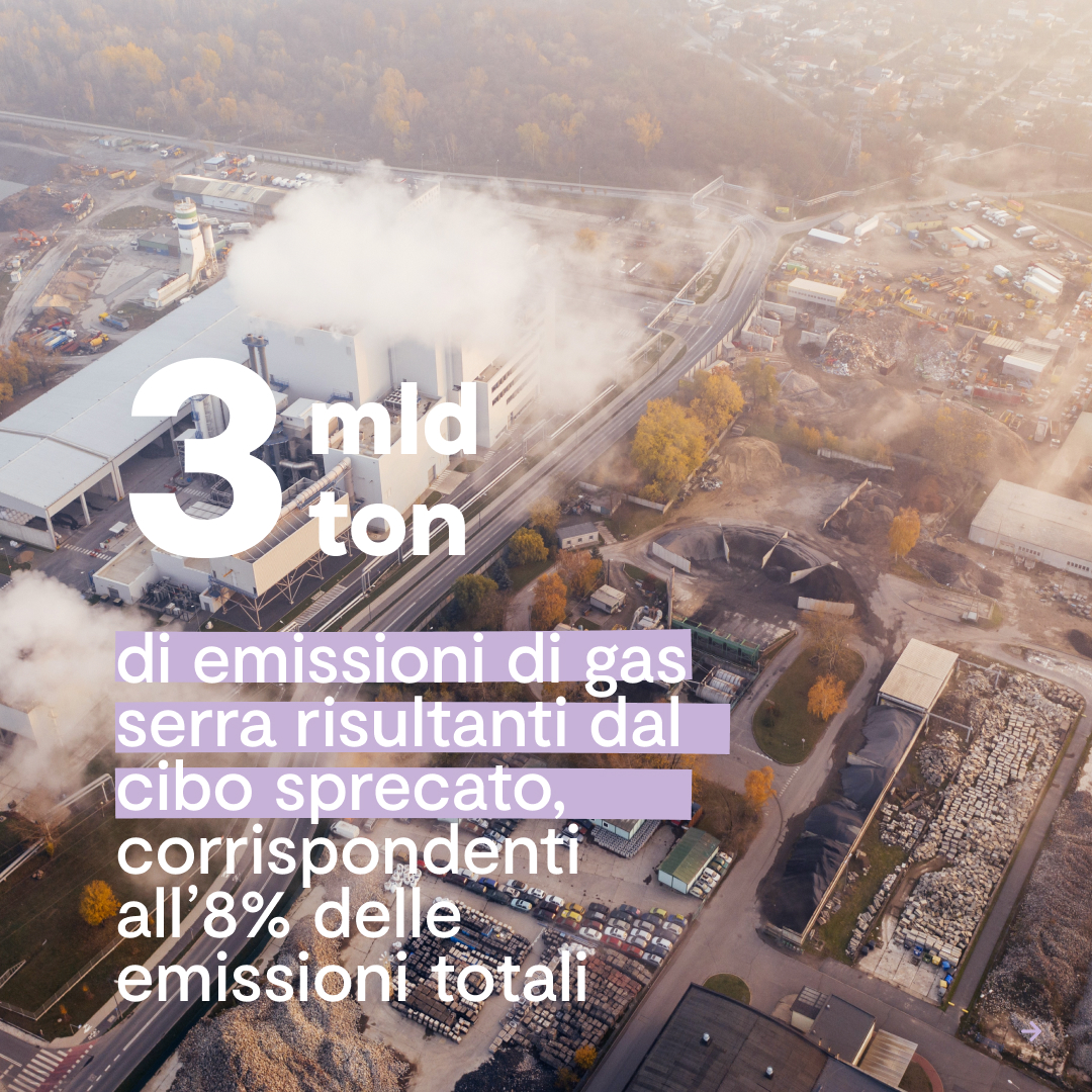 dati sullo spreco alimentare