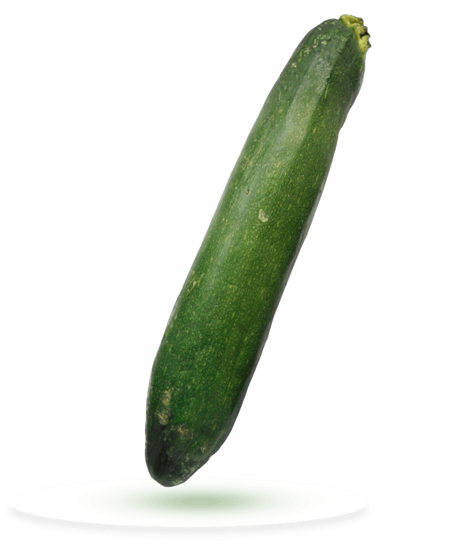 zucchina con shelfy