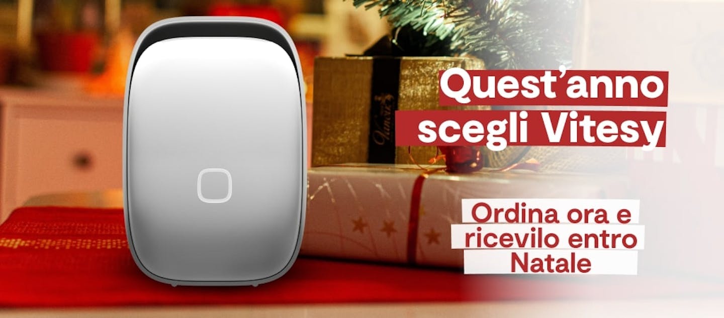 Christmas 2023 Discount