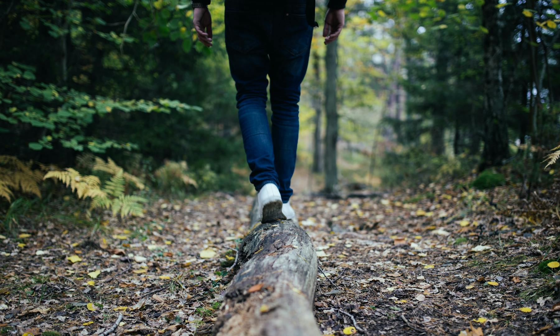 L'ecosostenibilità ha bisogno di equilibrio