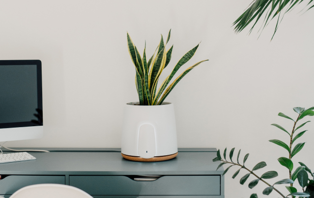 Natede Basic for office