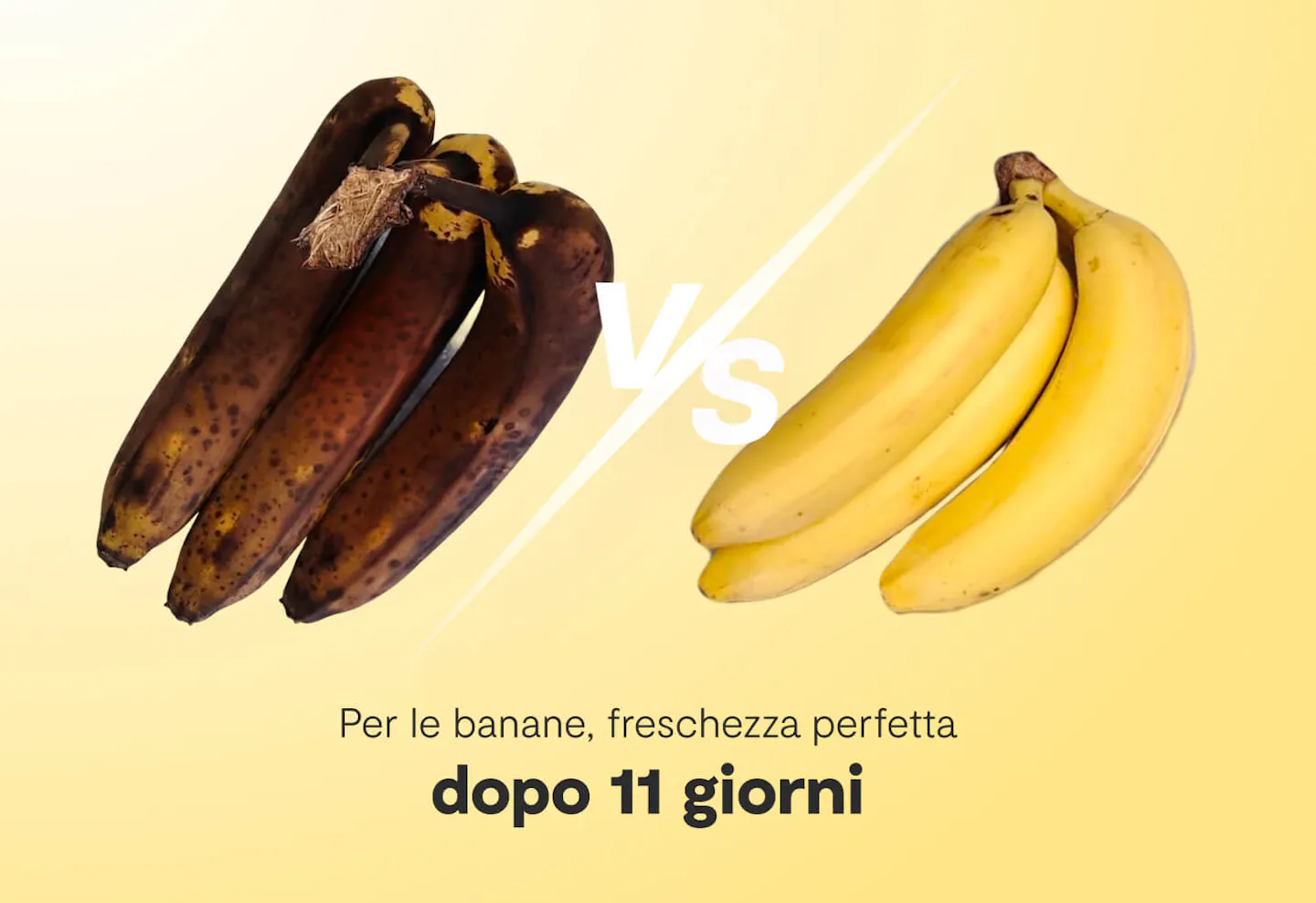 vitesy fruit bowl risultati sulle banane