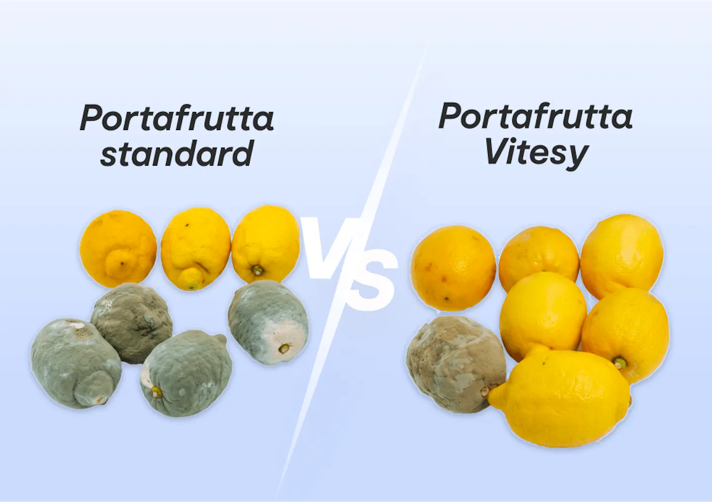 Portafrutta Vitesy – previene muffa, spore e contaminazione incrociata