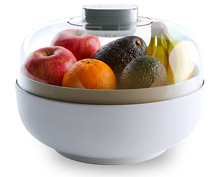 Vitesy Fruit Bowl