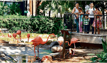 Zoológico de Barranquilla