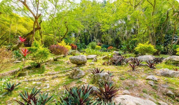 Eloy Valenzuela Botanical Garden