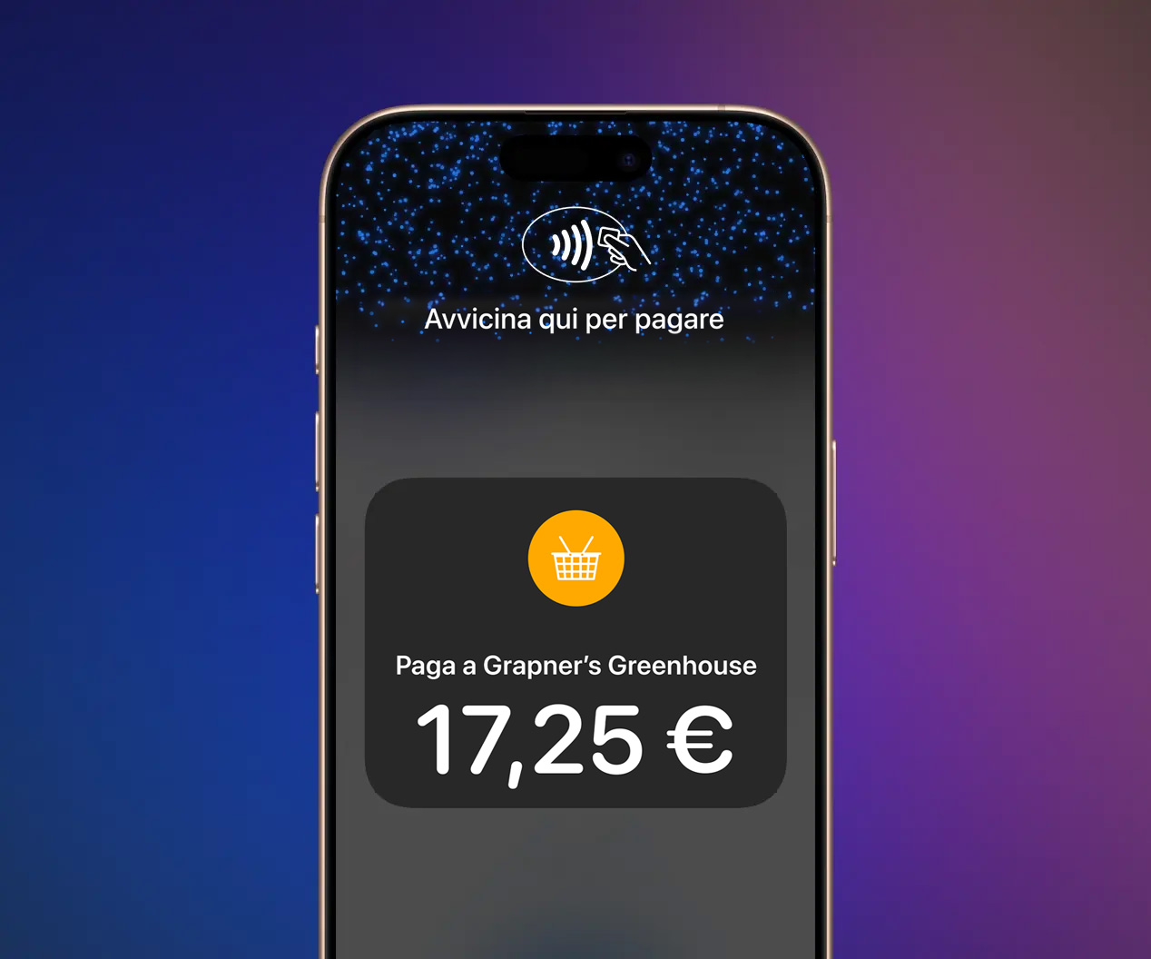 iPhone displaying Tap to Pay interface showing a €17.25 contactless payment request