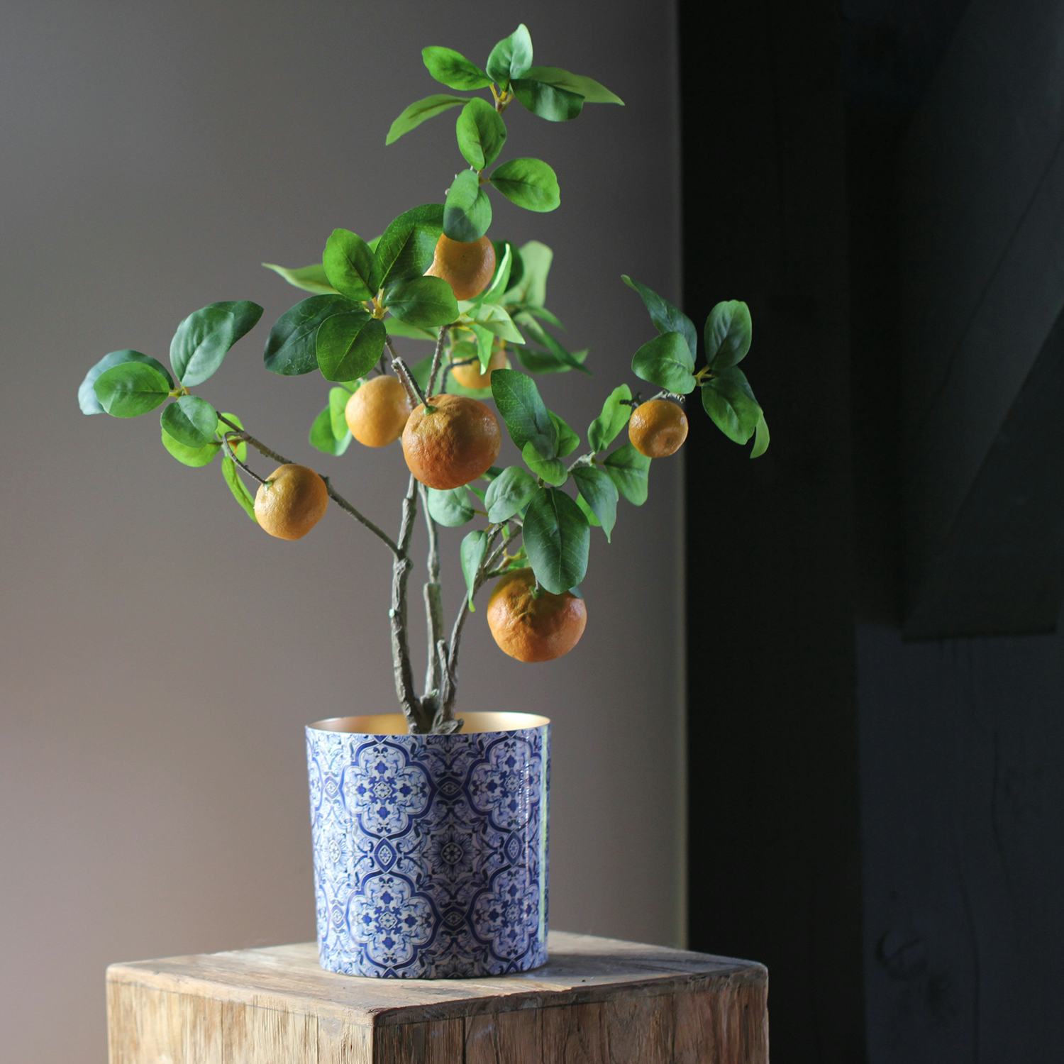 Mandarijnplant Viv Home Luxuries