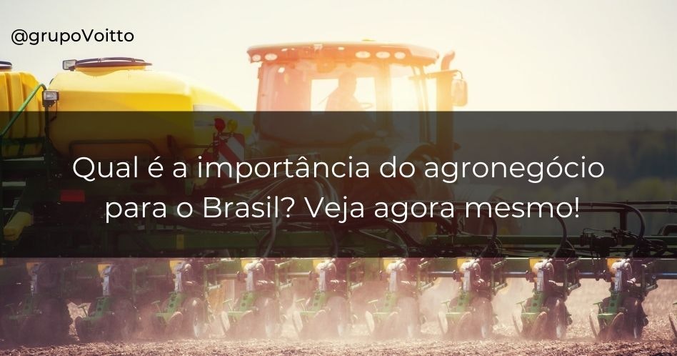 Qual é a importância do agronegócio para o Brasil? Veja agora mesmo!