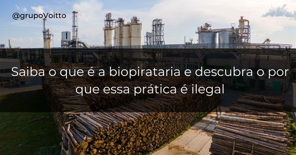 Saiba o que é a biopirataria e descubra o por que essa prática é ilegal