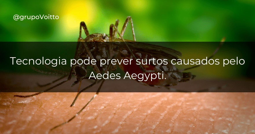 Tecnologia pode prever surtos causados pelo Aedes Aegypti. Tecnologia pode prever surtos causados pelo Aedes Aegypti.