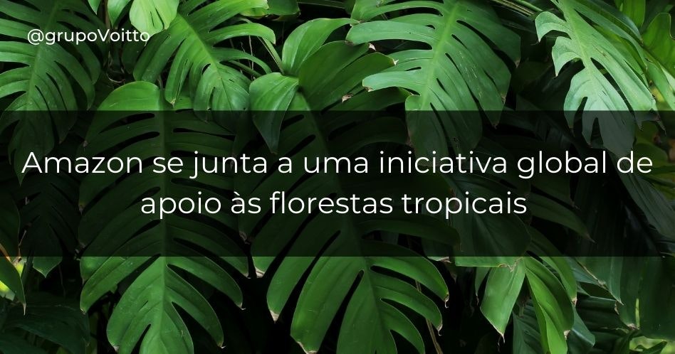 Amazon se junta a uma iniciativa global de apoio às florestas tropicais