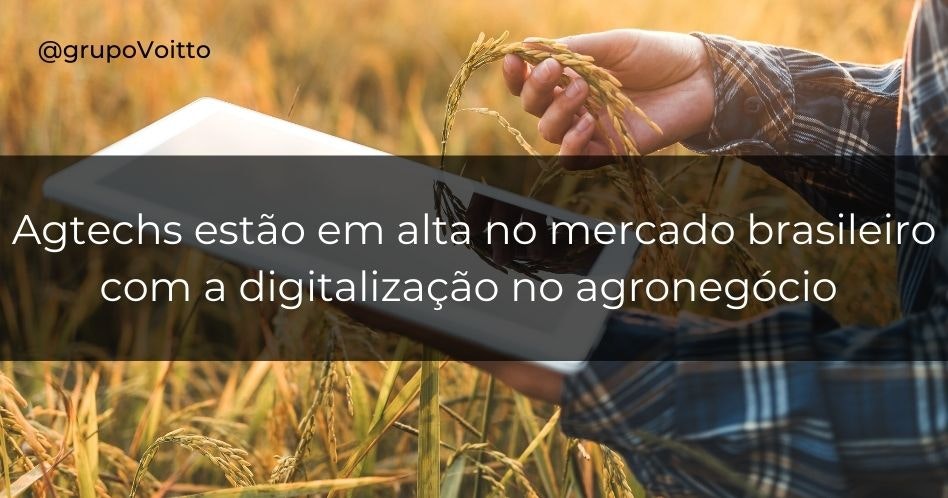 Agtechs estão em alta no mercado brasileiro com a digitalização no agronegócio